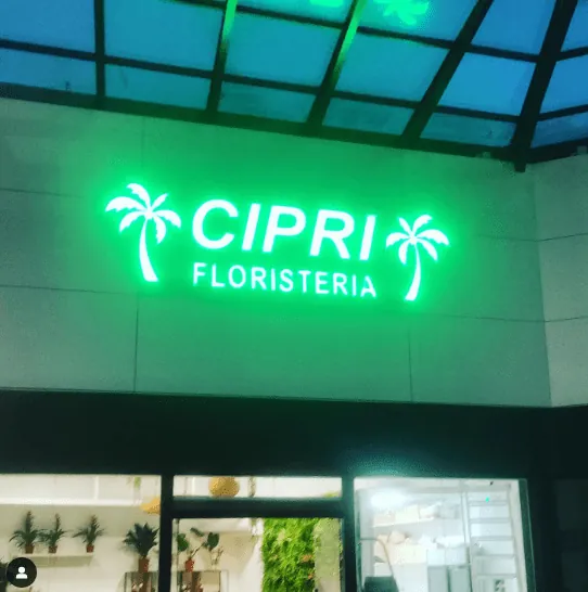 Rótulo luminoso LED verde de Cipri Floristería con dos palmeras